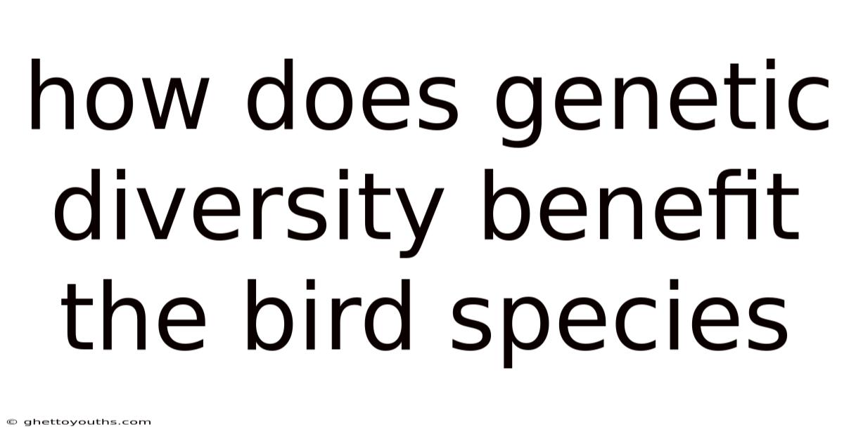 How Does Genetic Diversity Benefit The Bird Species