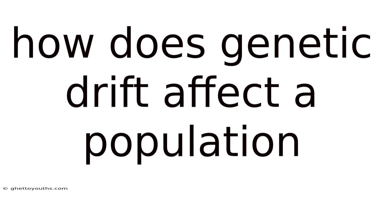 How Does Genetic Drift Affect A Population