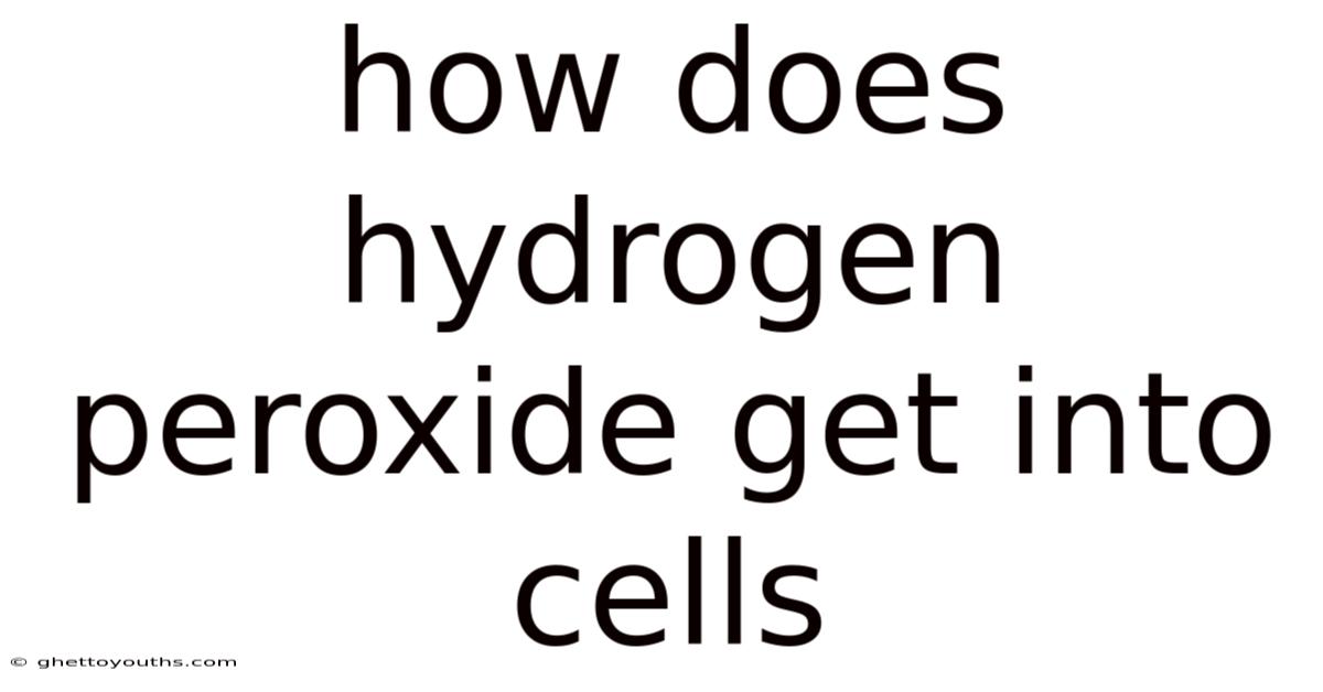 How Does Hydrogen Peroxide Get Into Cells