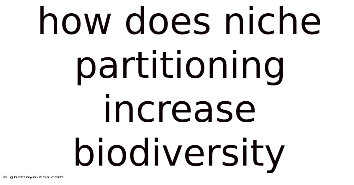 How Does Niche Partitioning Increase Biodiversity