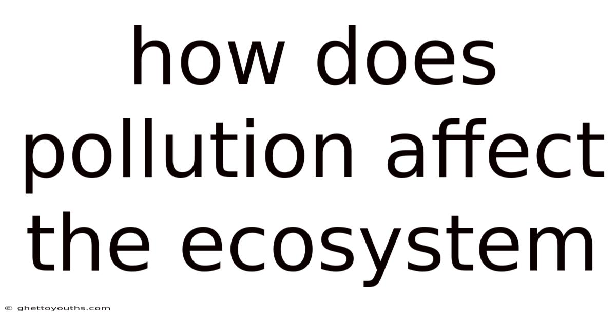 How Does Pollution Affect The Ecosystem