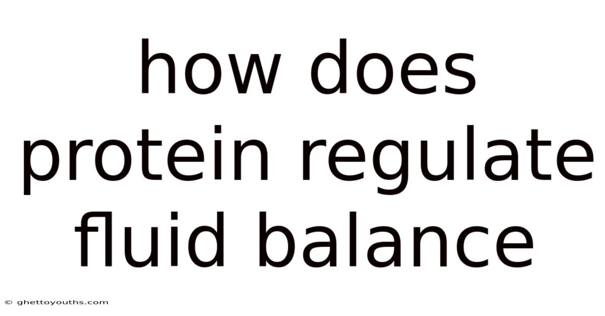 How Does Protein Regulate Fluid Balance