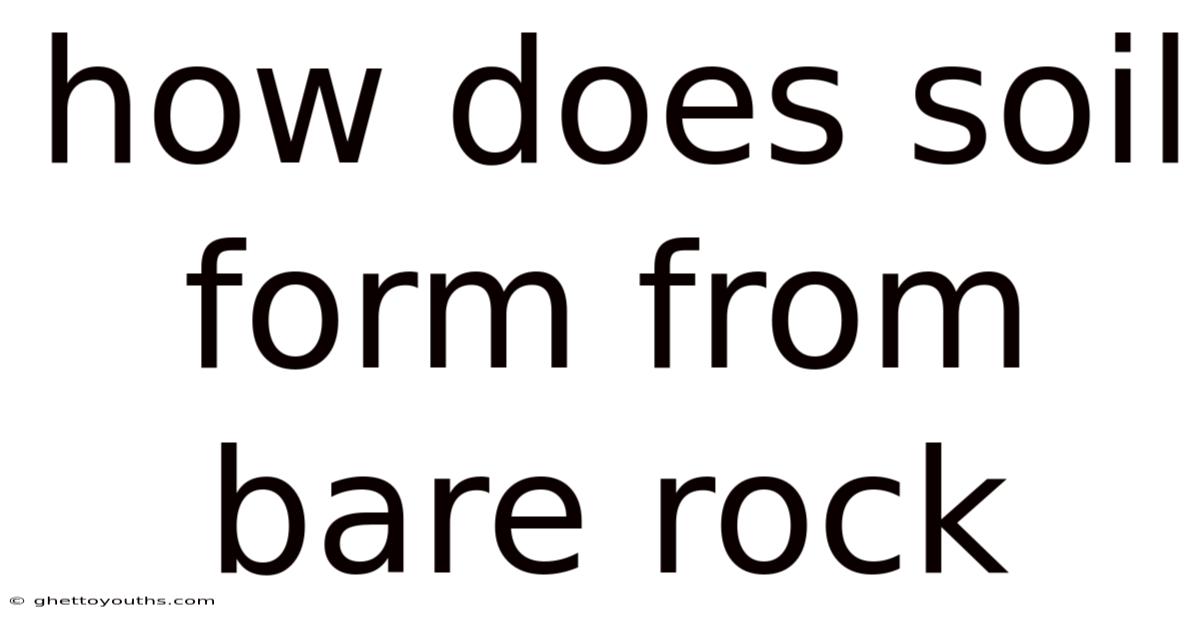 How Does Soil Form From Bare Rock