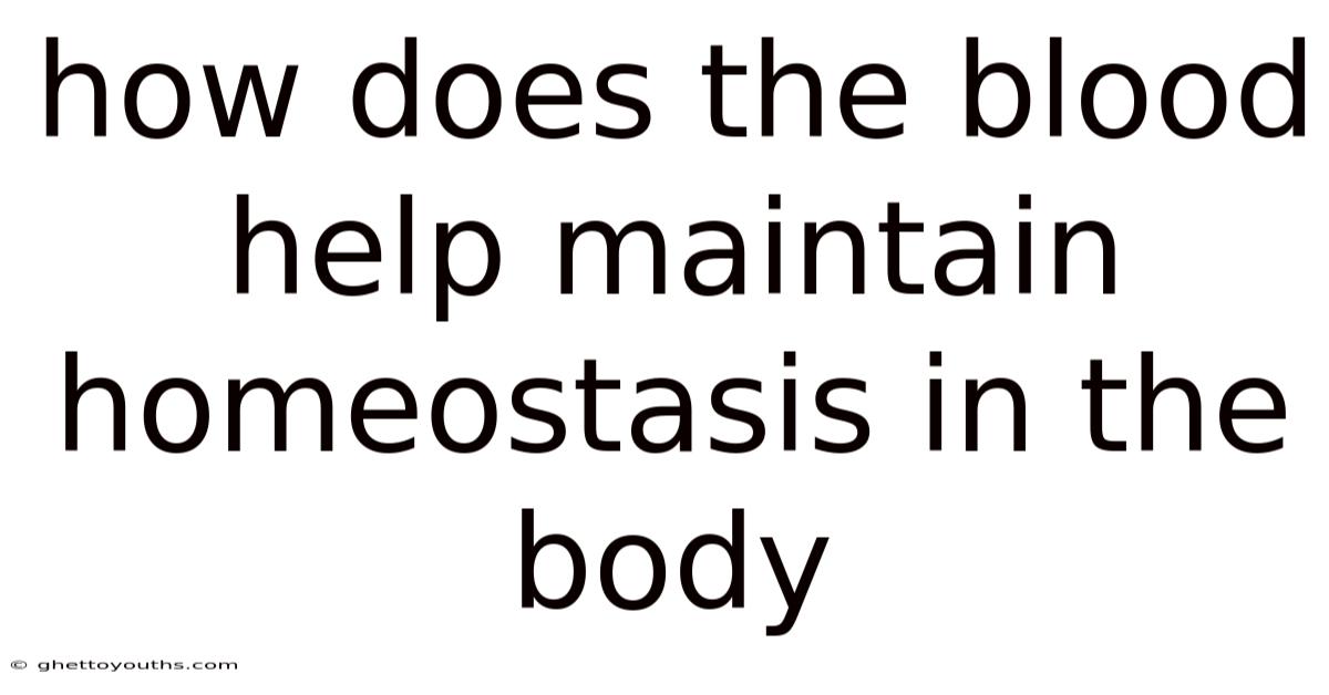 How Does The Blood Help Maintain Homeostasis In The Body