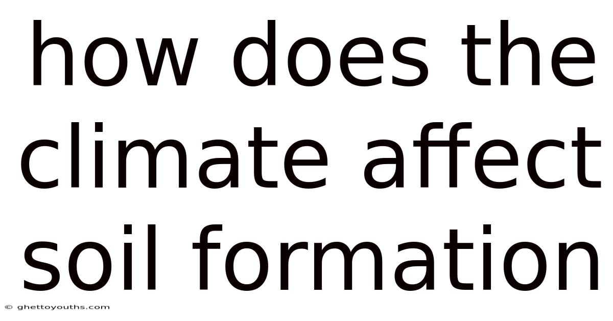 How Does The Climate Affect Soil Formation