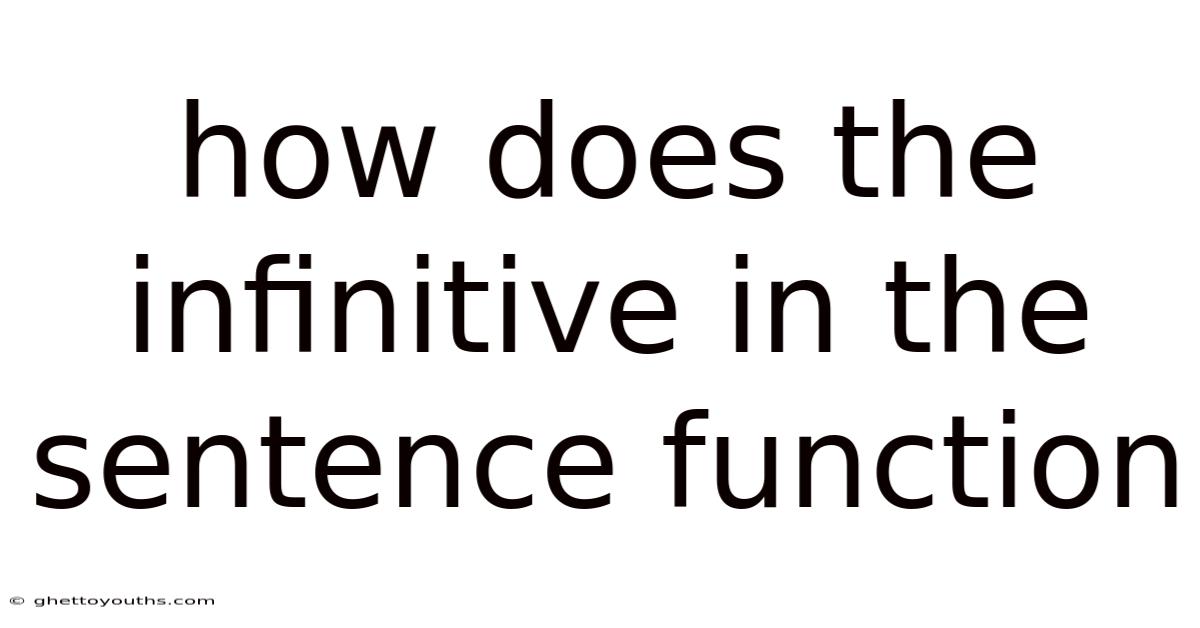 How Does The Infinitive In The Sentence Function