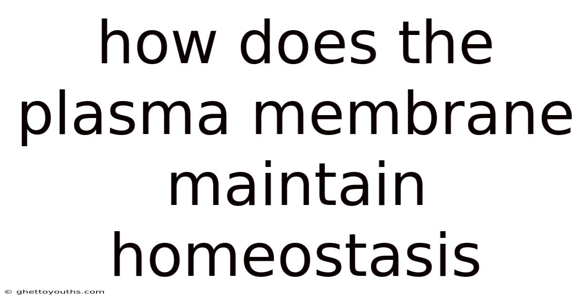How Does The Plasma Membrane Maintain Homeostasis
