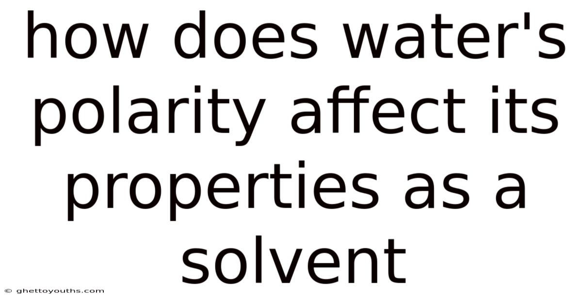 How Does Water's Polarity Affect Its Properties As A Solvent