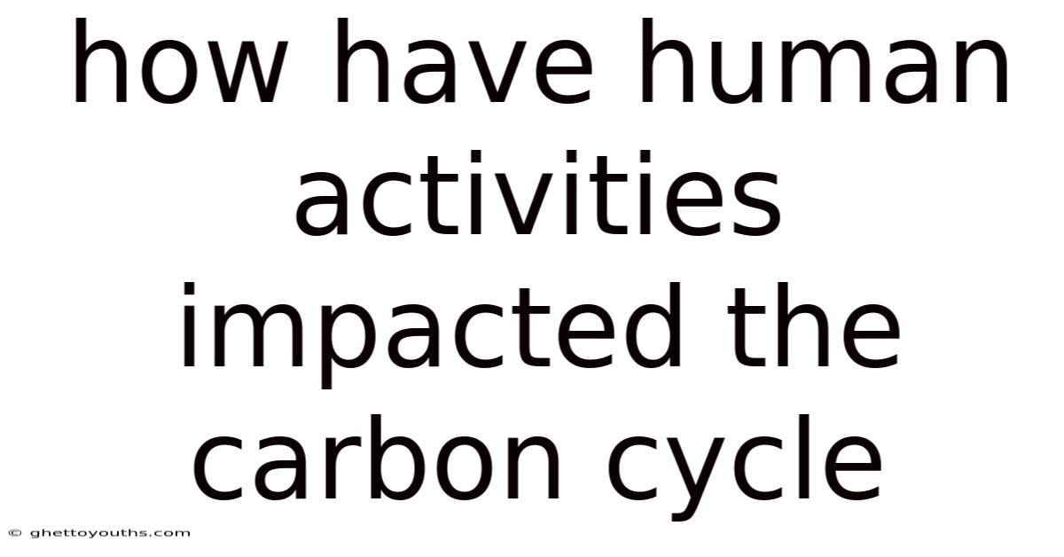 How Have Human Activities Impacted The Carbon Cycle