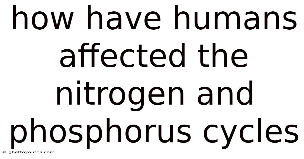 How Have Humans Affected The Nitrogen And Phosphorus Cycles