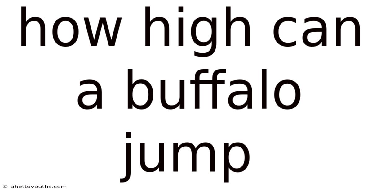 How High Can A Buffalo Jump