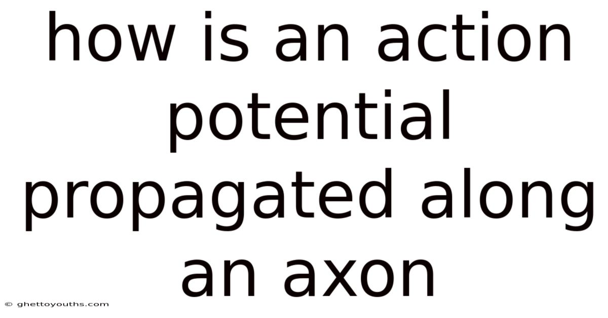 How Is An Action Potential Propagated Along An Axon