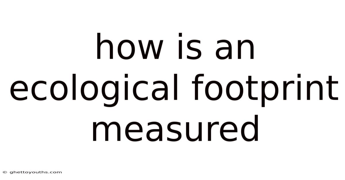 How Is An Ecological Footprint Measured