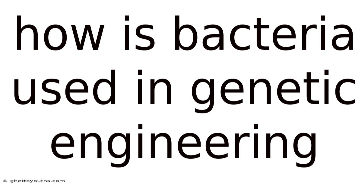How Is Bacteria Used In Genetic Engineering