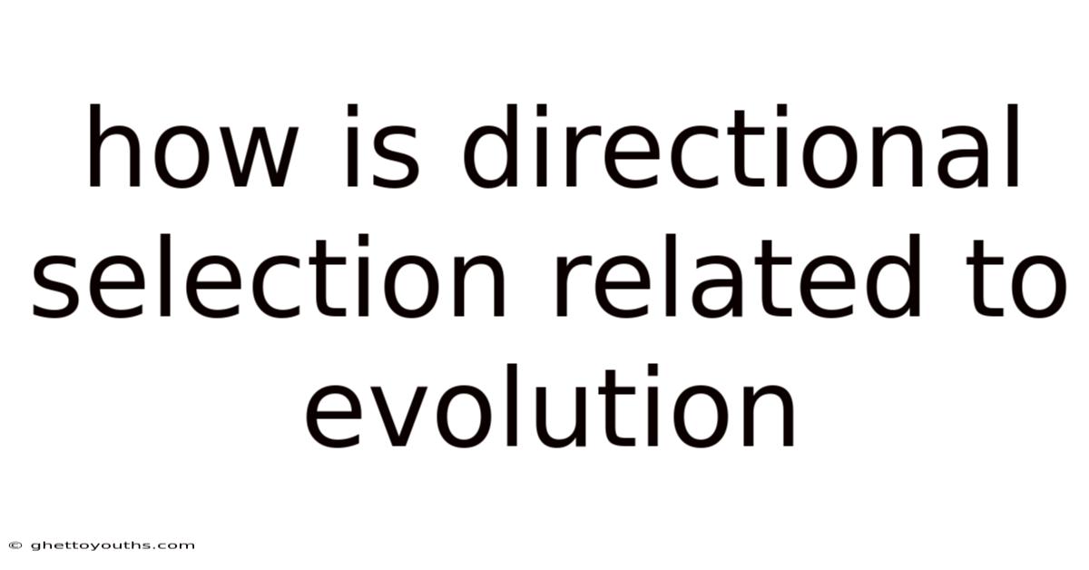 How Is Directional Selection Related To Evolution