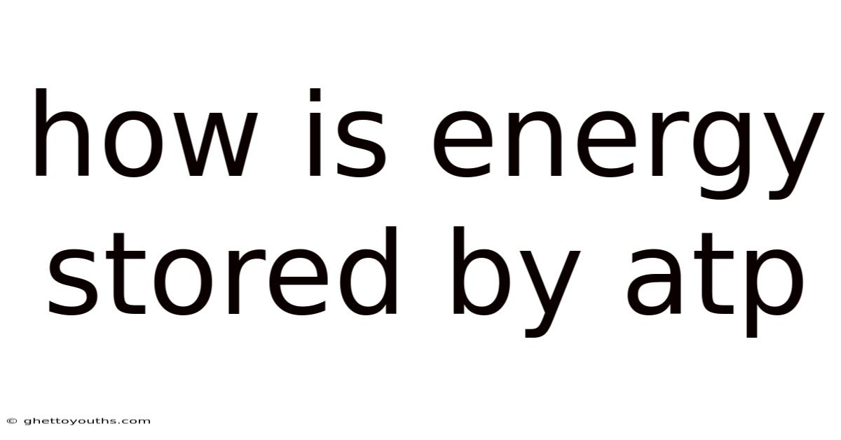 How Is Energy Stored By Atp