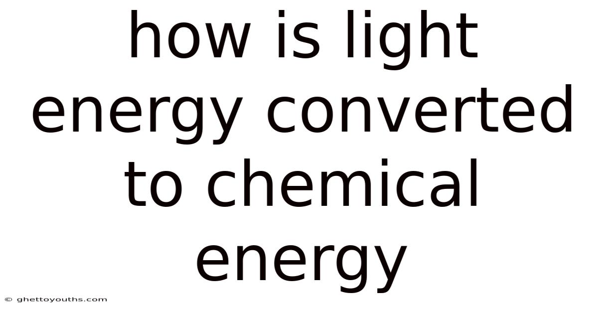 How Is Light Energy Converted To Chemical Energy