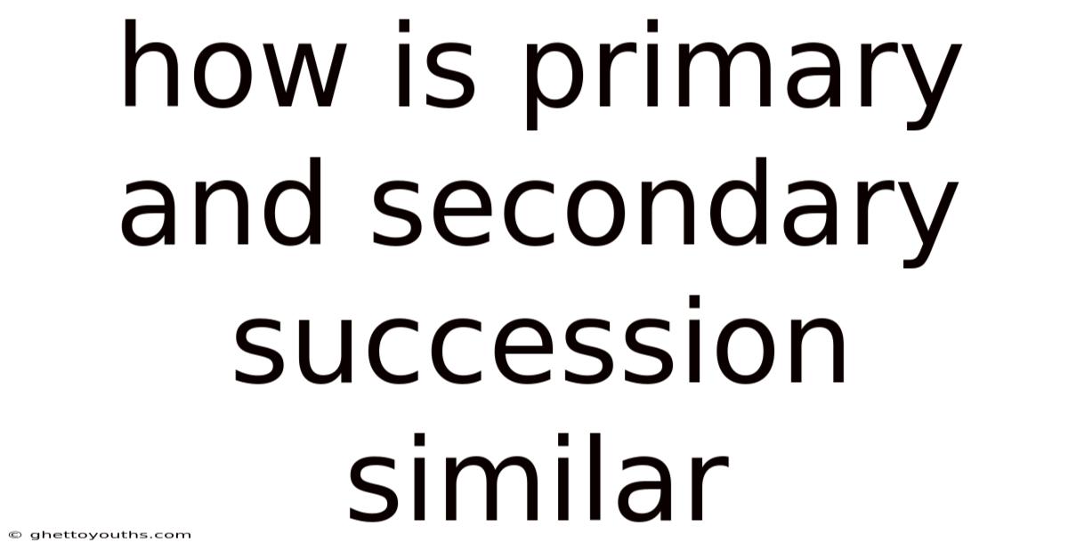 How Is Primary And Secondary Succession Similar