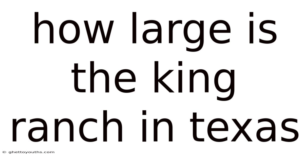 How Large Is The King Ranch In Texas