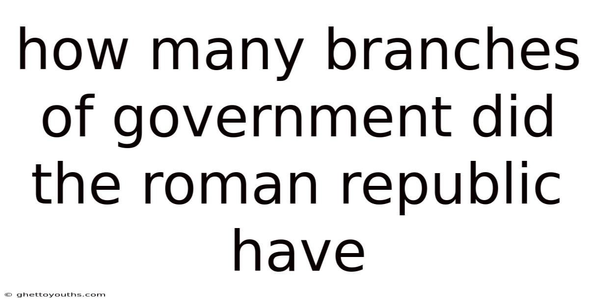 How Many Branches Of Government Did The Roman Republic Have