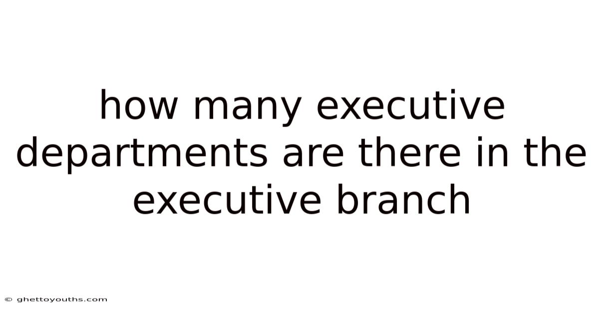 How Many Executive Departments Are There In The Executive Branch