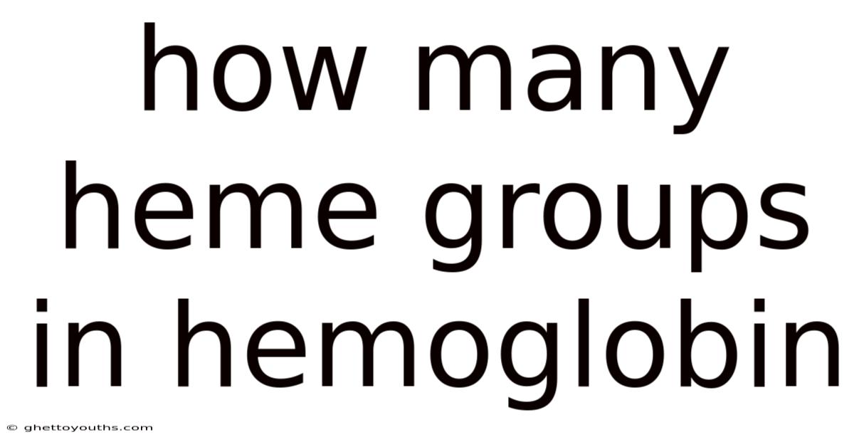 How Many Heme Groups In Hemoglobin