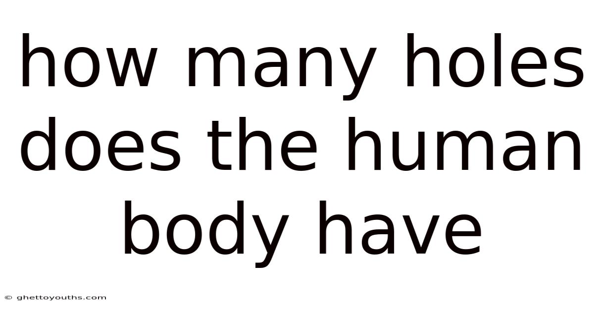 How Many Holes Does The Human Body Have