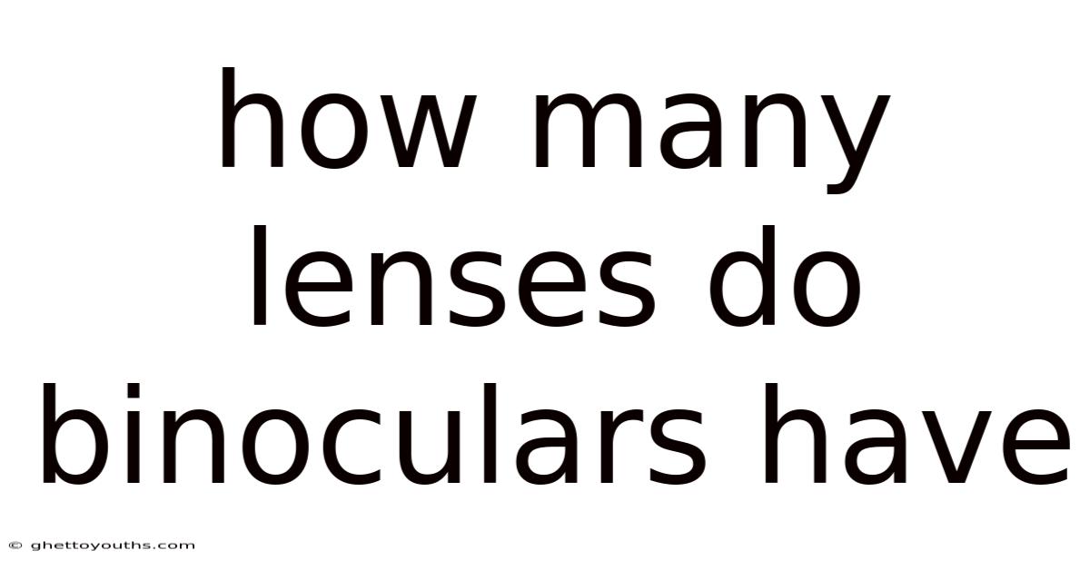 How Many Lenses Do Binoculars Have