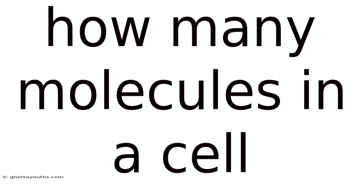 How Many Molecules In A Cell