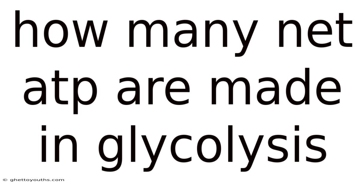 How Many Net Atp Are Made In Glycolysis