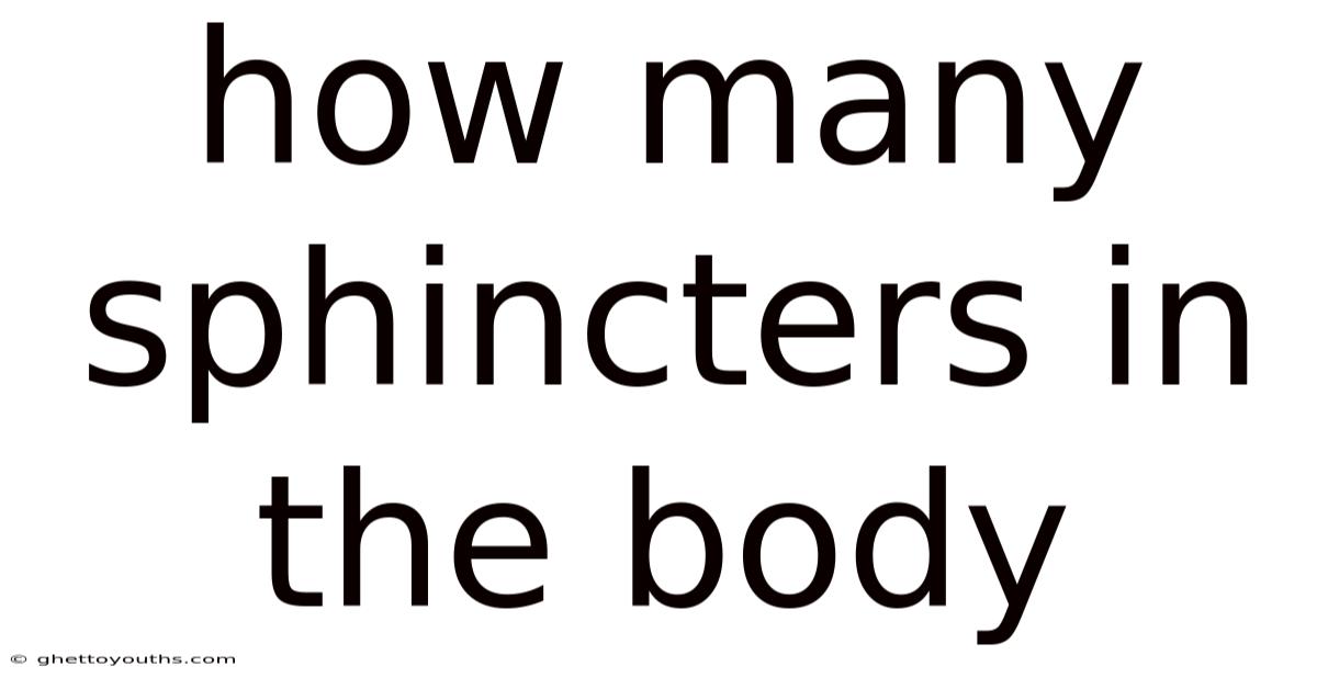 How Many Sphincters In The Body