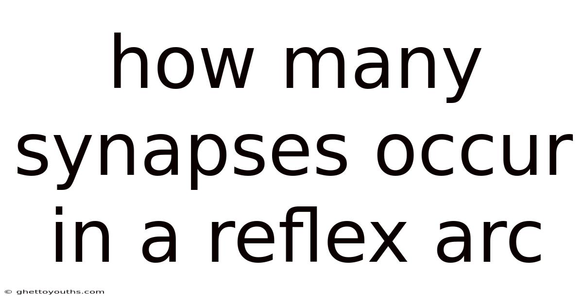 How Many Synapses Occur In A Reflex Arc