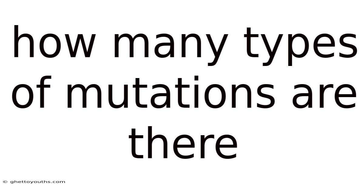 How Many Types Of Mutations Are There