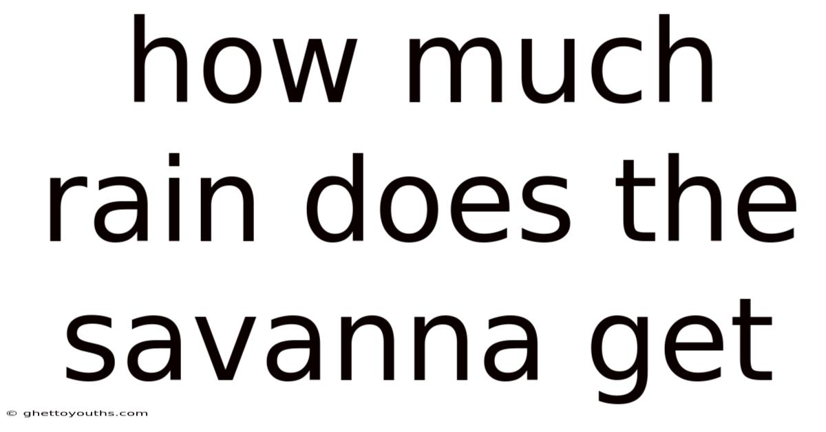 How Much Rain Does The Savanna Get