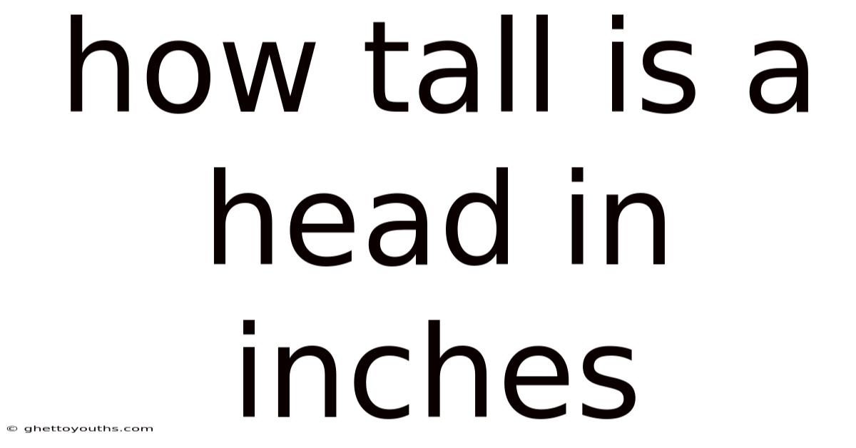 How Tall Is A Head In Inches