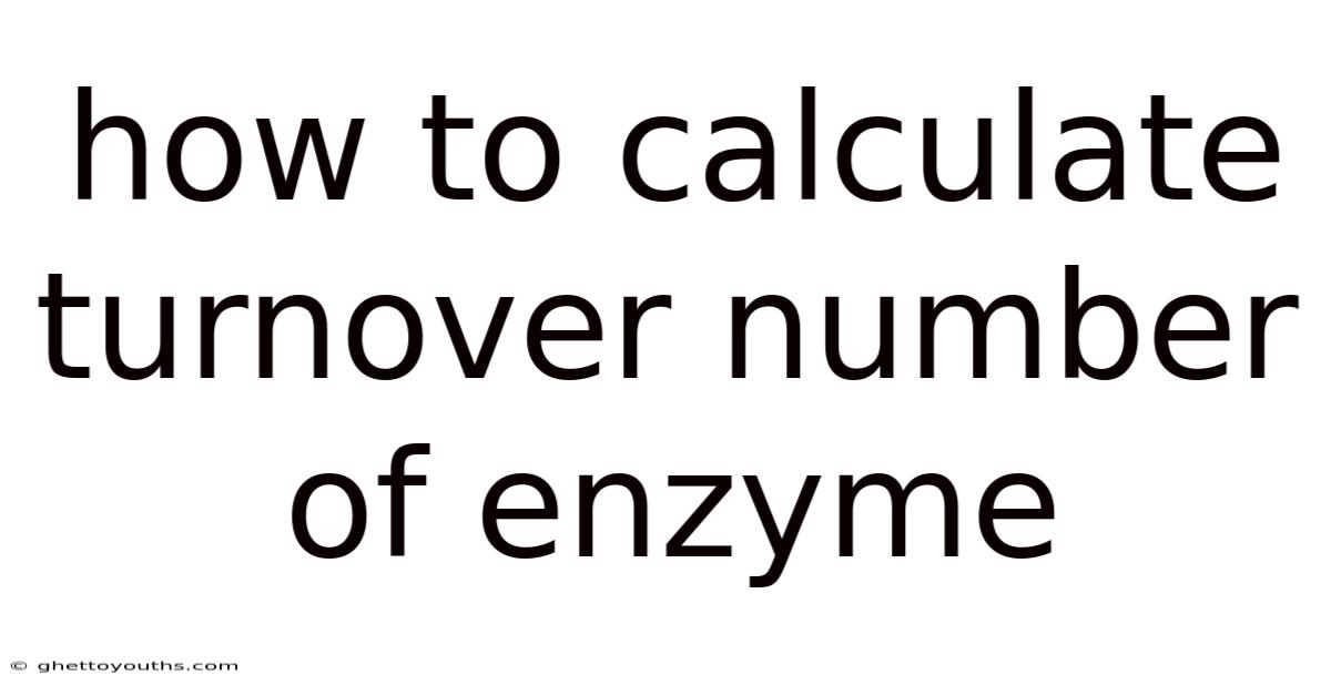 How To Calculate Turnover Number Of Enzyme