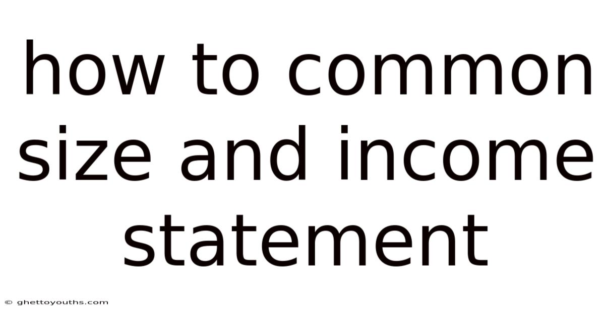 How To Common Size And Income Statement