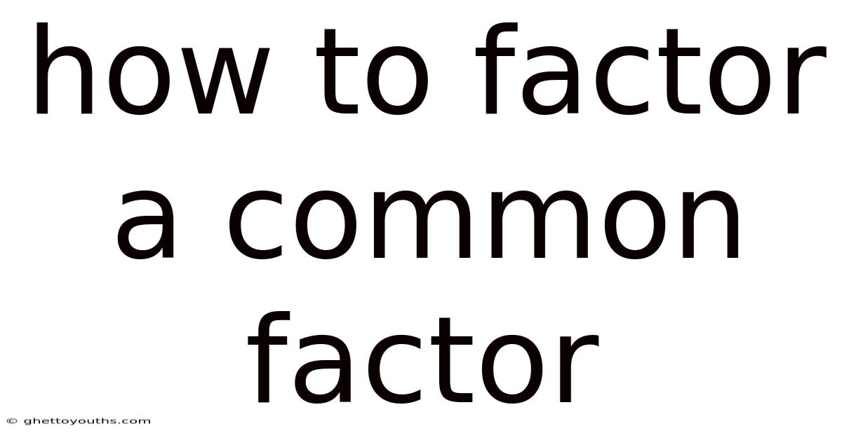 How To Factor A Common Factor