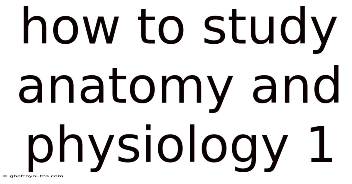 How To Study Anatomy And Physiology 1