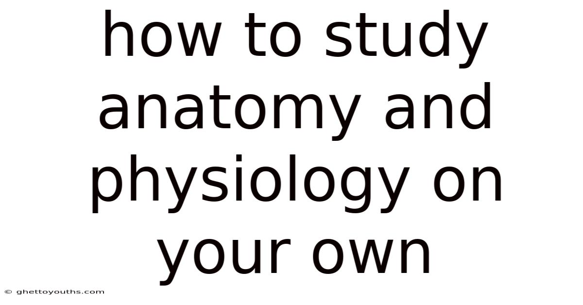 How To Study Anatomy And Physiology On Your Own
