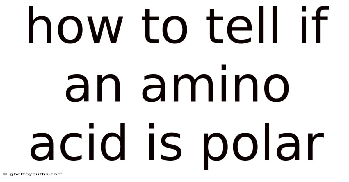 How To Tell If An Amino Acid Is Polar
