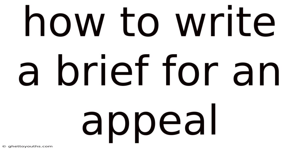 How To Write A Brief For An Appeal