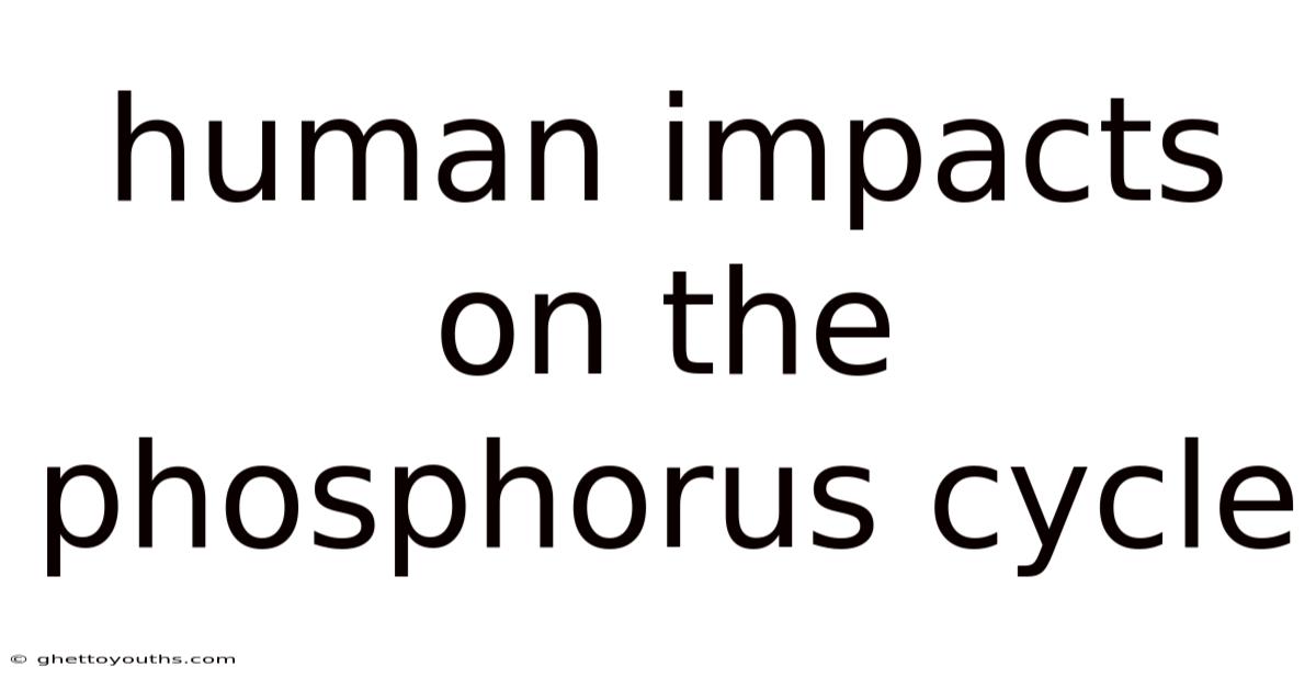 Human Impacts On The Phosphorus Cycle