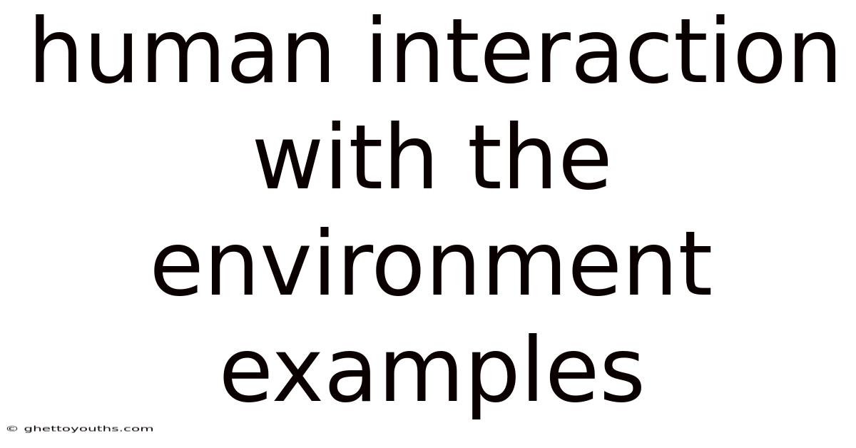 Human Interaction With The Environment Examples