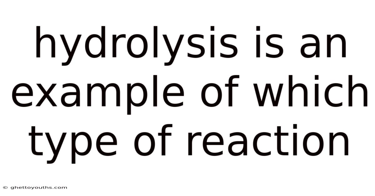 Hydrolysis Is An Example Of Which Type Of Reaction