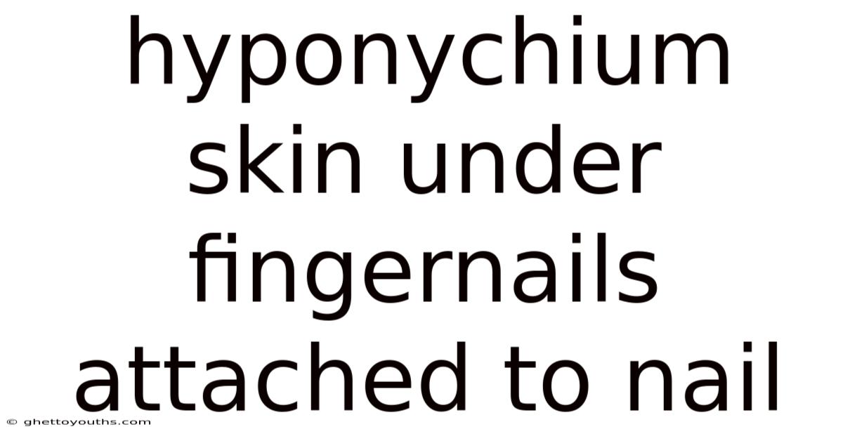 Hyponychium Skin Under Fingernails Attached To Nail