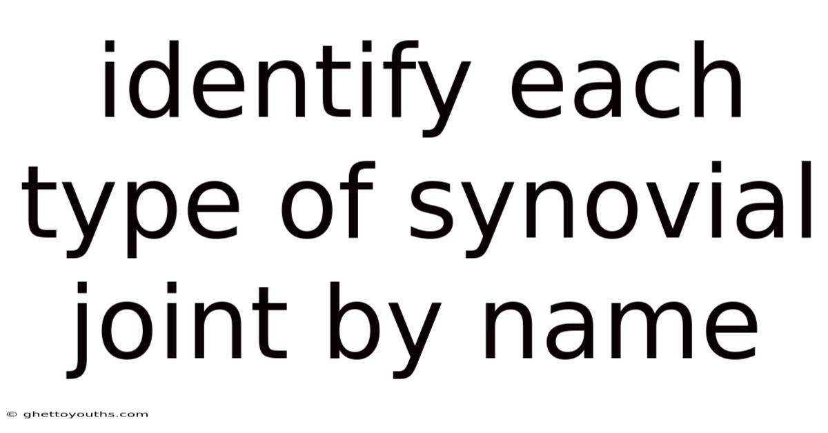 Identify Each Type Of Synovial Joint By Name