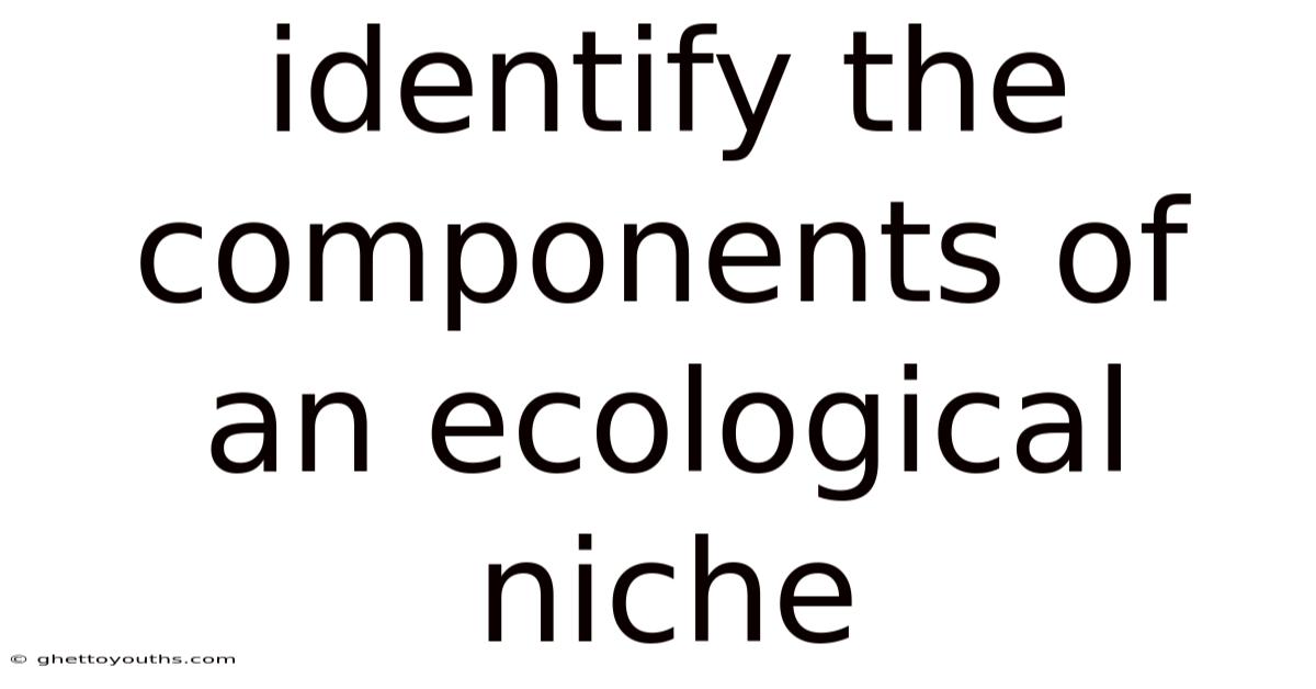Identify The Components Of An Ecological Niche