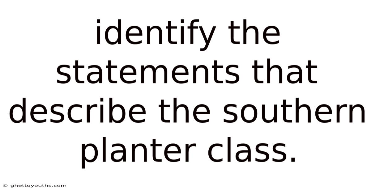Identify The Statements That Describe The Southern Planter Class.