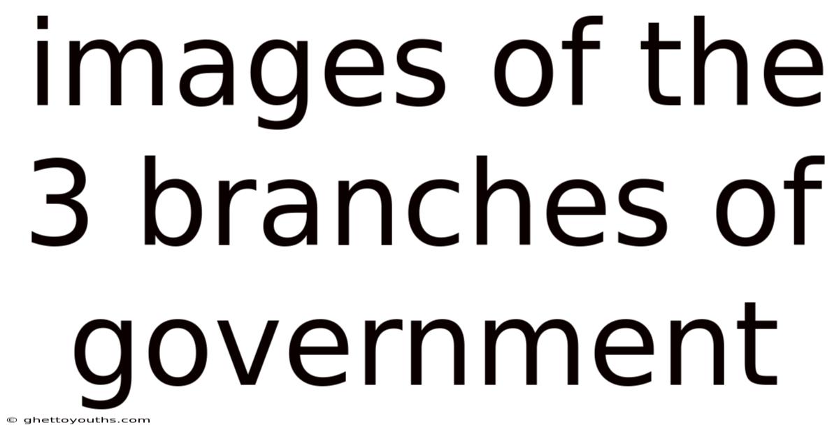 Images Of The 3 Branches Of Government